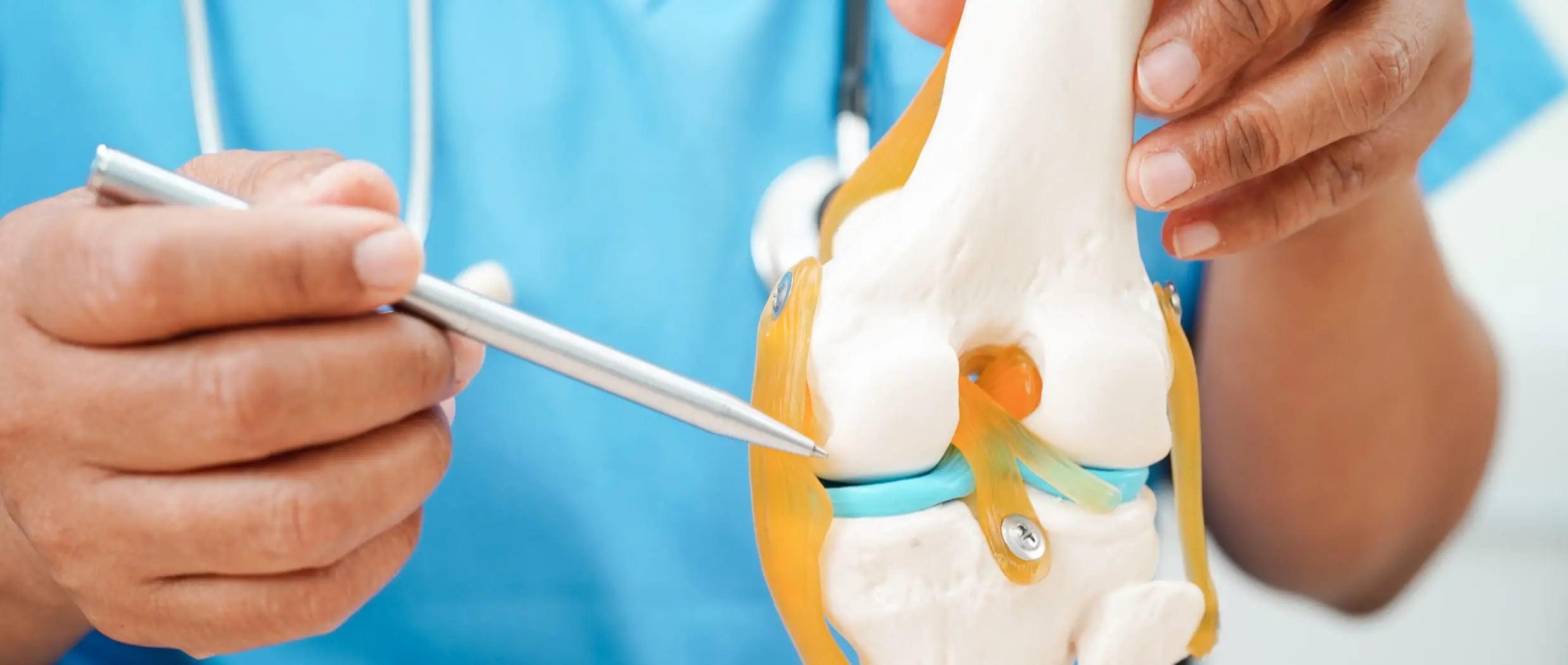 関節模型を用いた姿勢改善と再発予防の説明